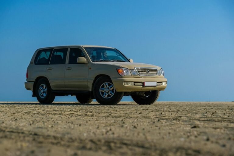 stable model 120162211 online